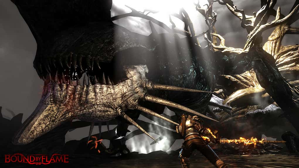 Bound By Flame GOG Anahtarı