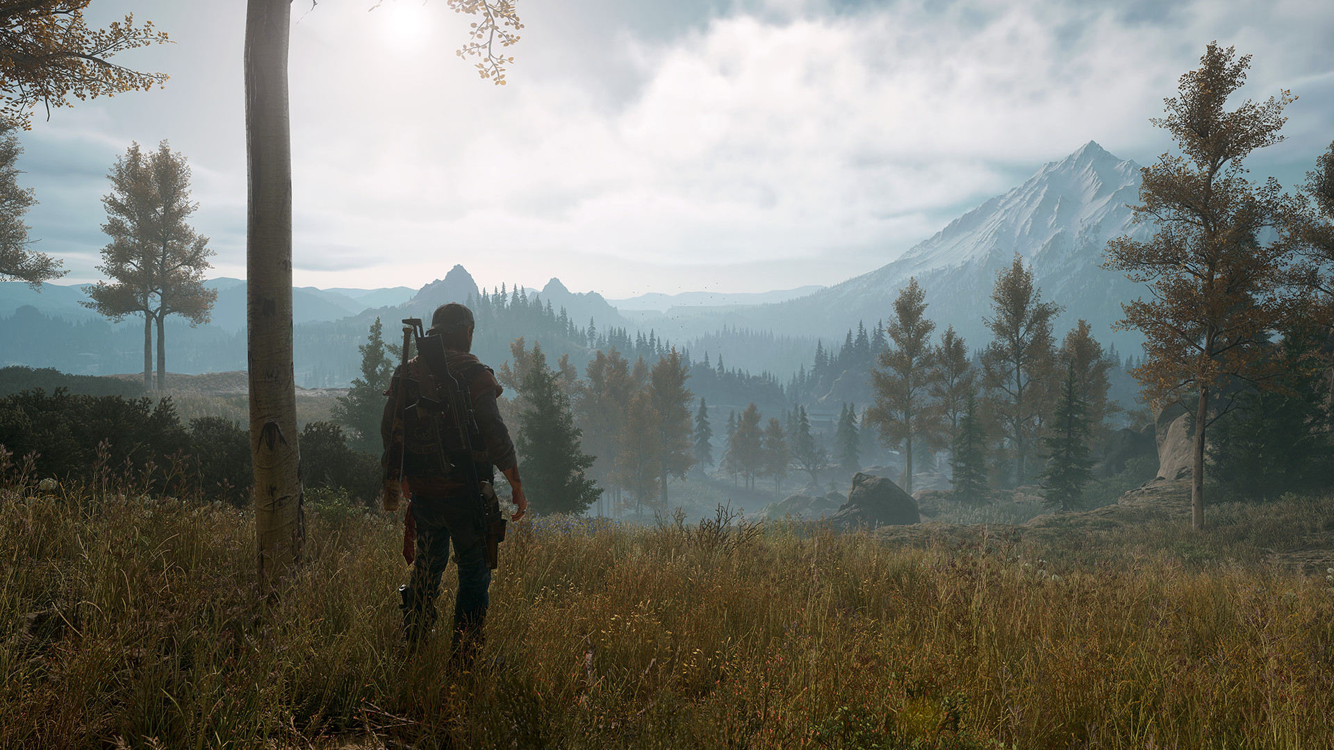 Days Gone Steam Anahtarı