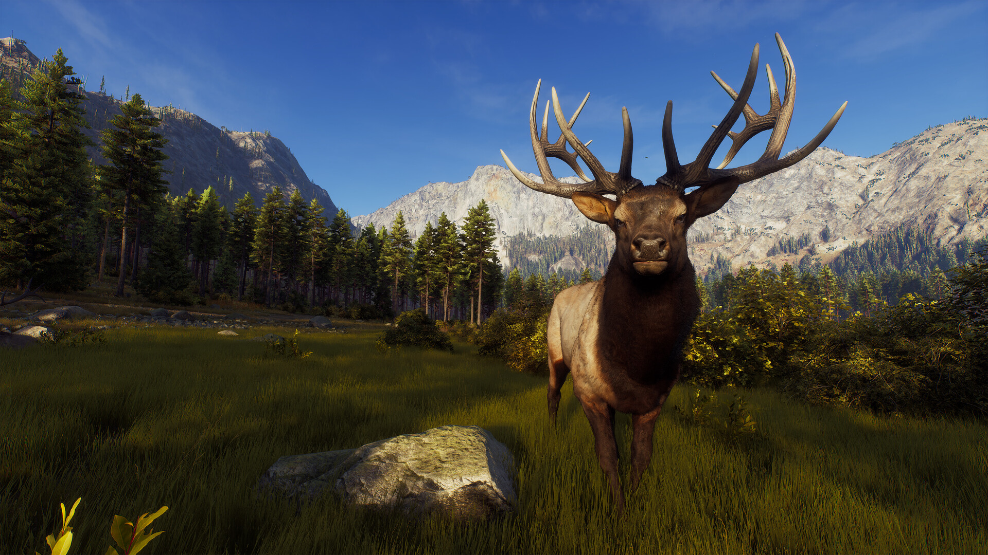 Way of the Hunter Steam Anahtarı