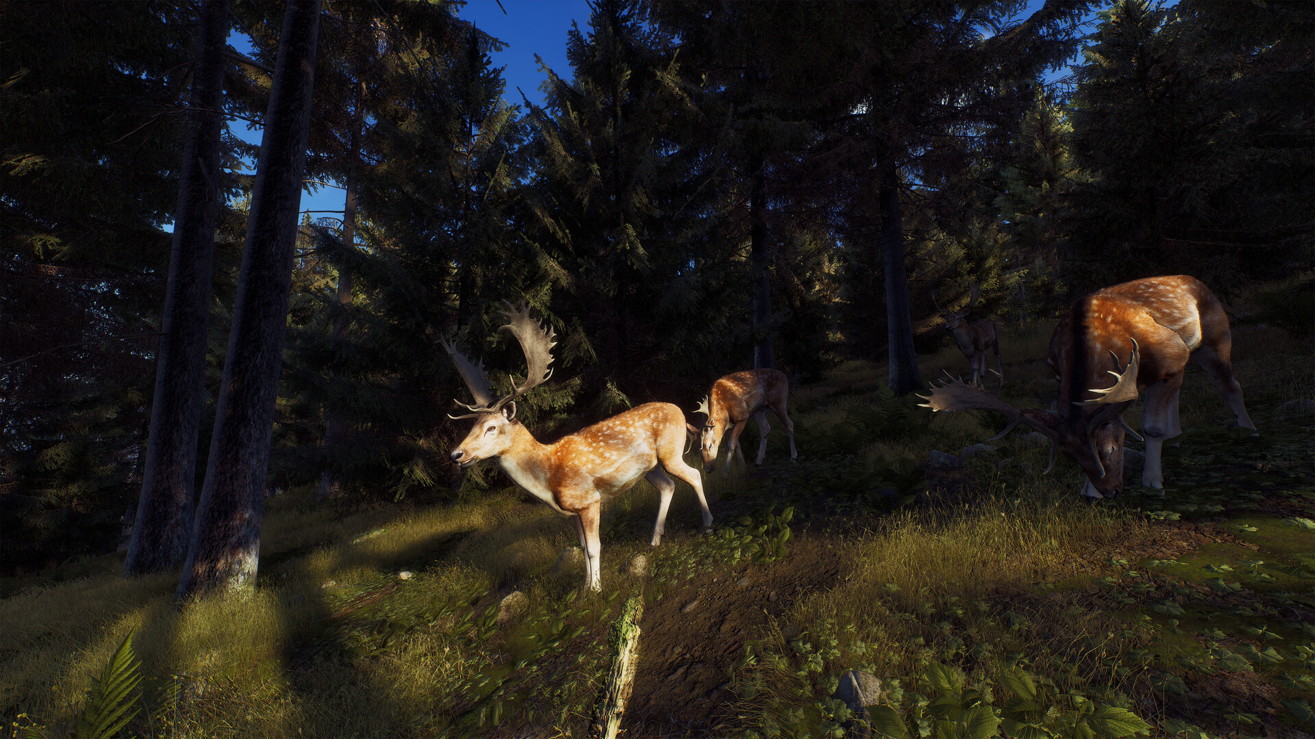 Way of the Hunter Steam Anahtarı