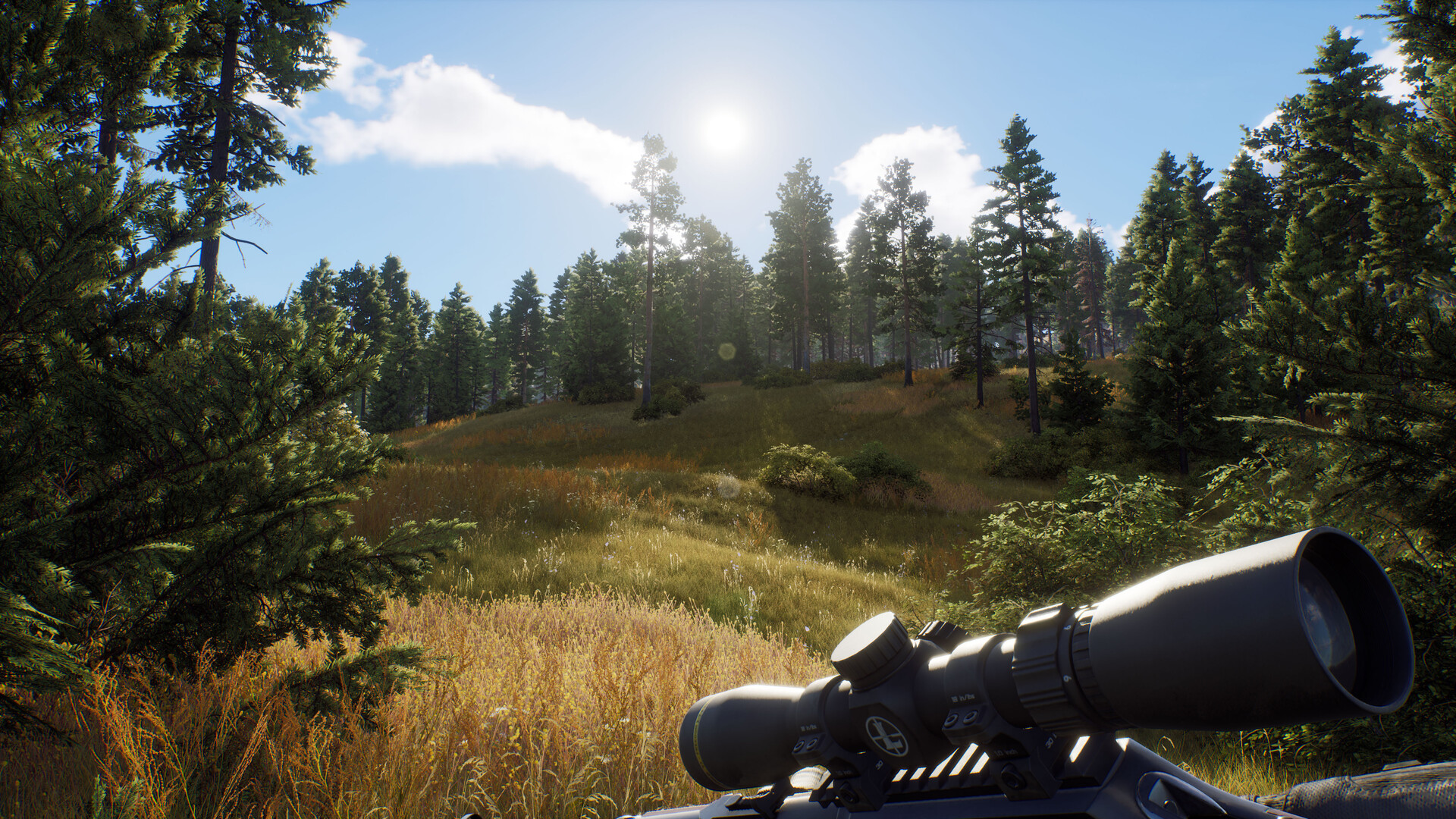 Way of the Hunter Steam Anahtarı