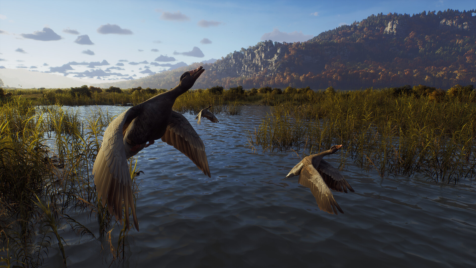 Way of the Hunter Steam Anahtarı