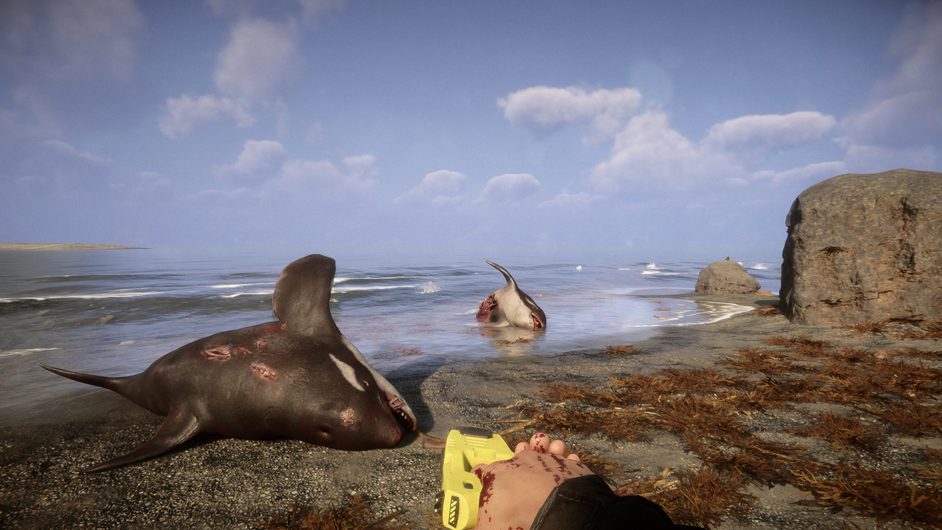 Sons Of The Forest Steam Anahtarı