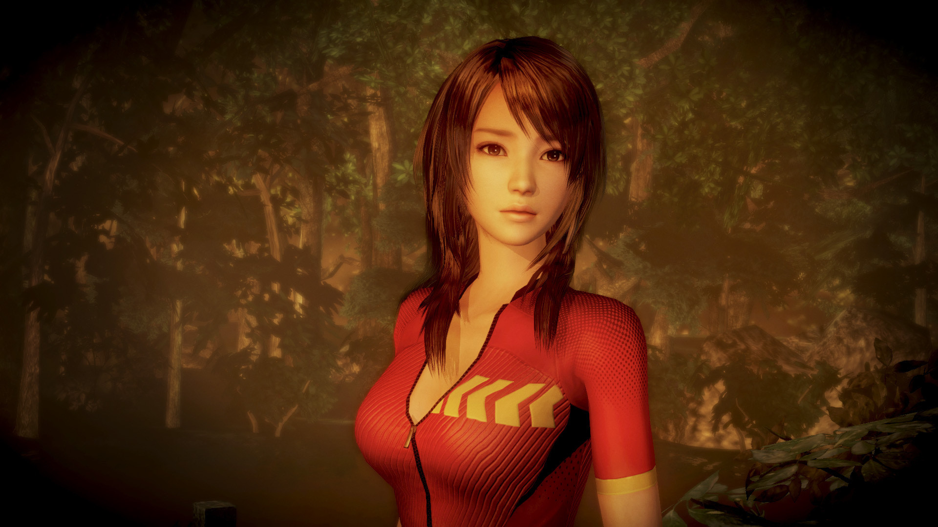 FATAL FRAME / PROJECT ZERO: Maiden of Black Water Steam Anahtarı