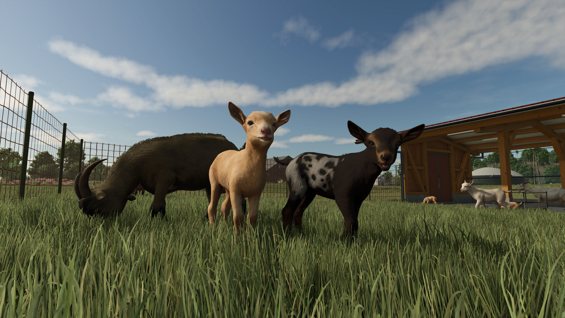 Farming Simulator 25 Steam Anahtarı