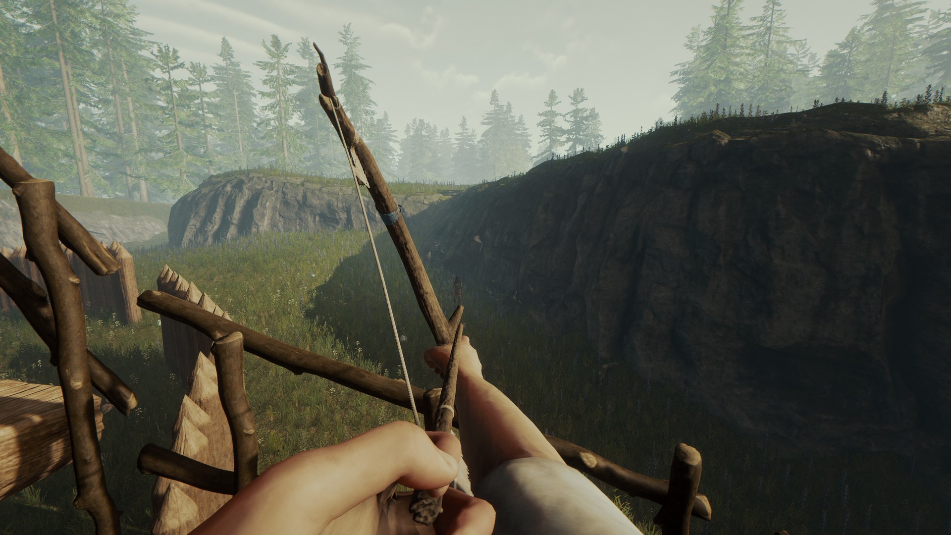 The Forest Steam Anahtarı