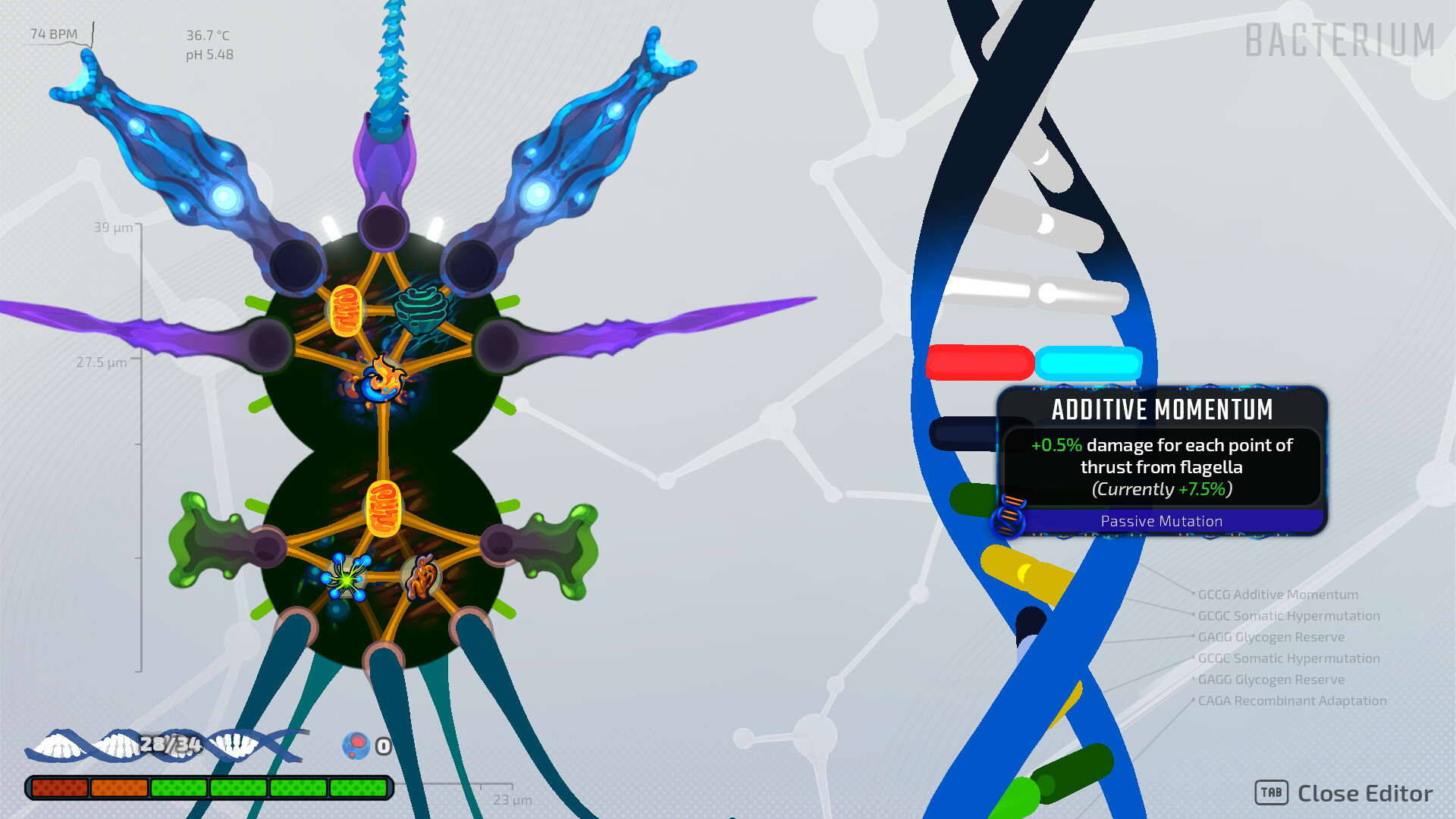 Pathogenic Steam Anahtarı