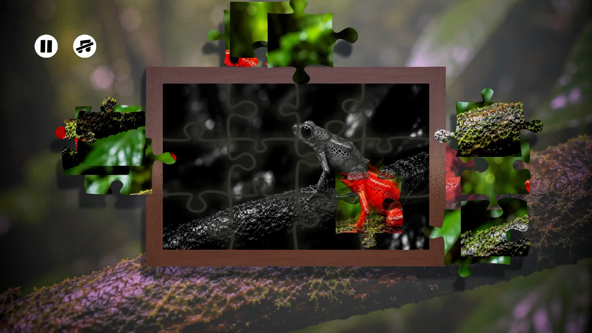 Puzzles Frogs Steam Anahtarı