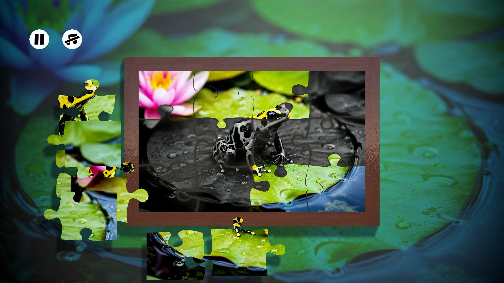 Puzzles Frogs Steam Anahtarı