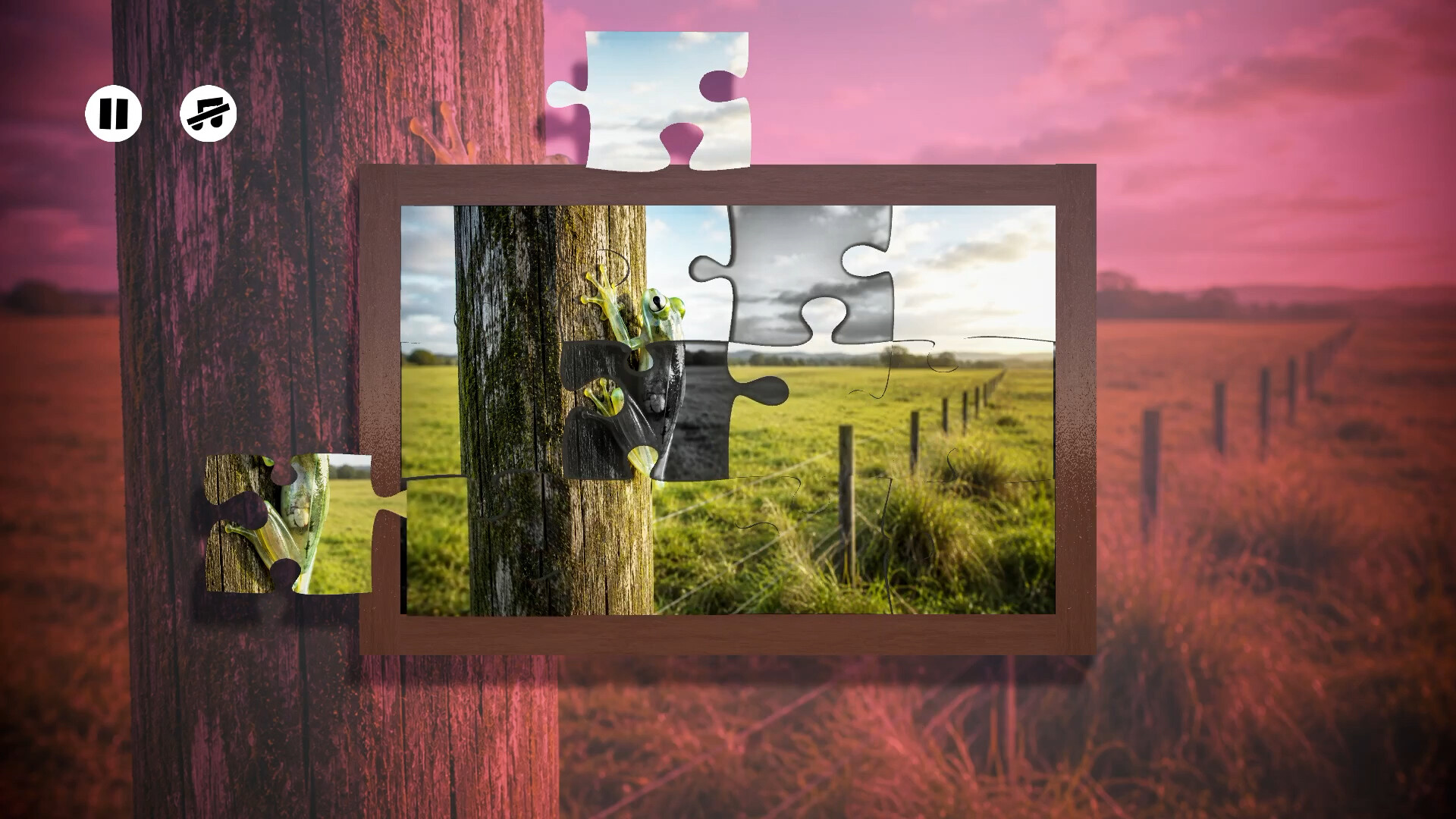 Puzzles Frogs Steam Anahtarı
