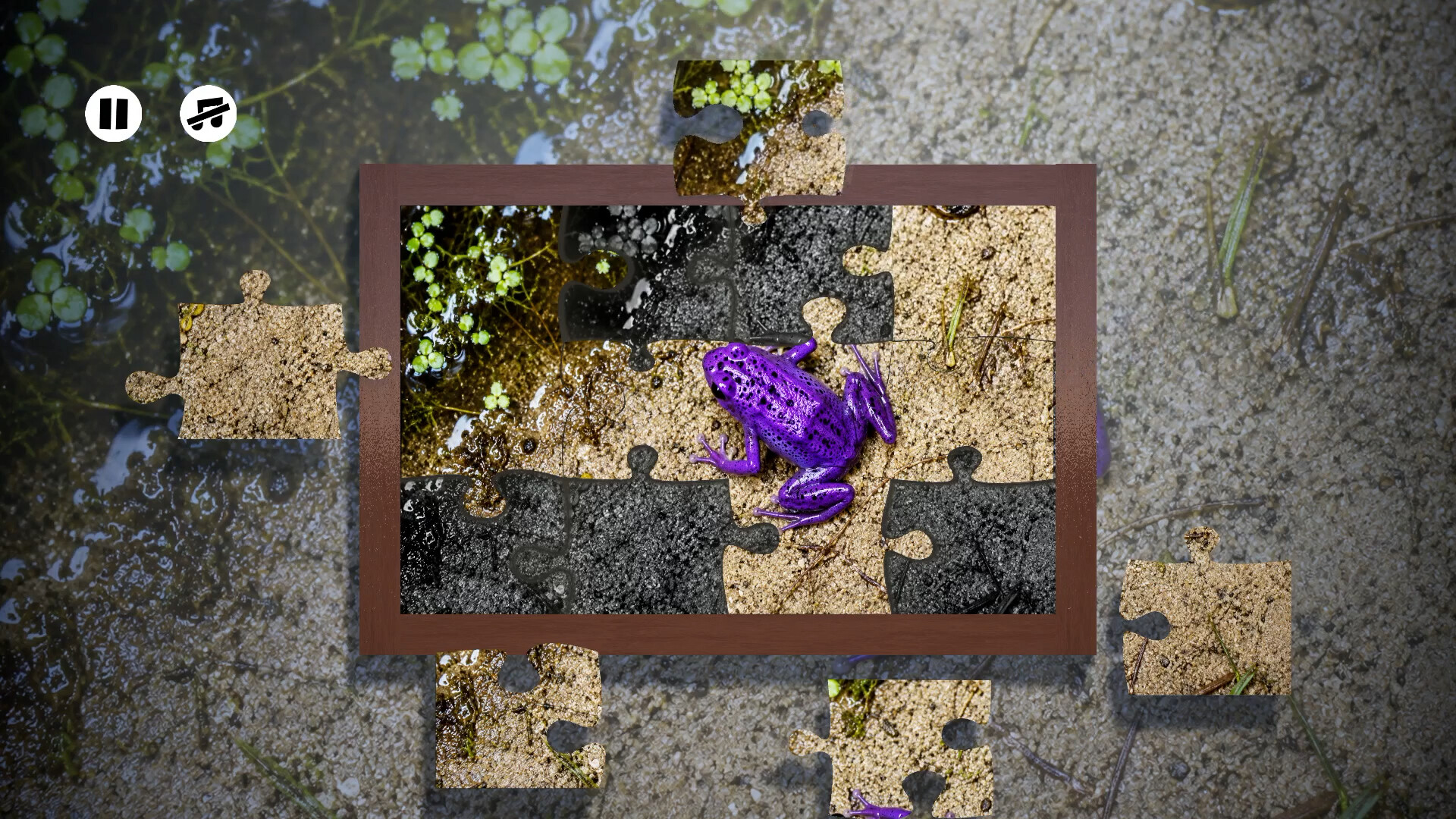 Puzzles Frogs Steam Anahtarı
