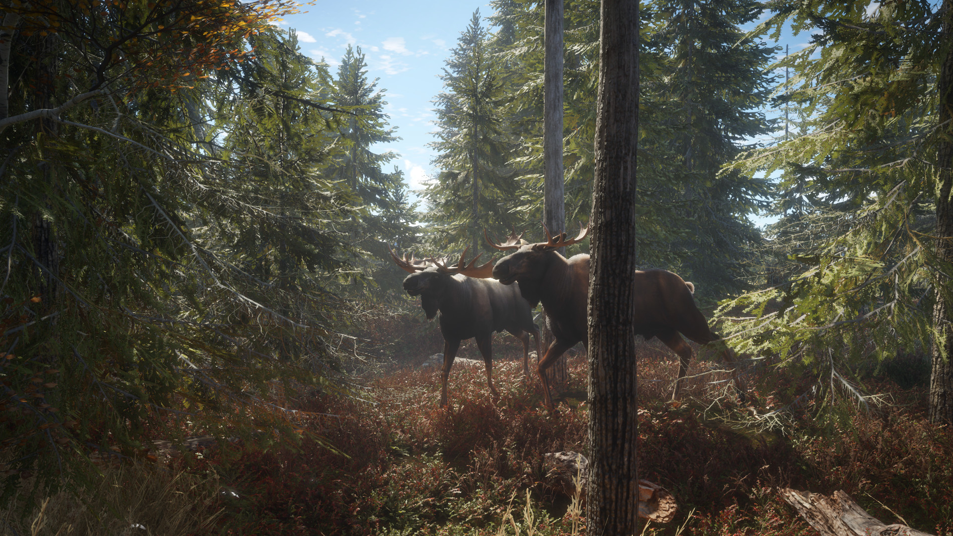 theHunter: Call of the Wild™ Steam Anahtarı