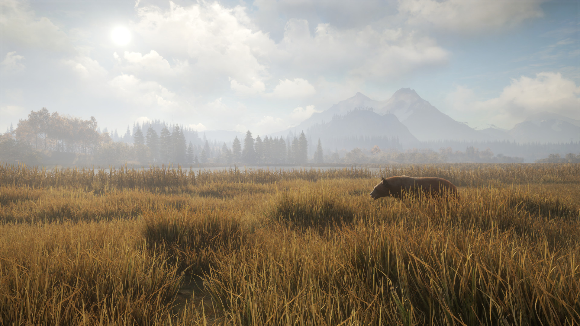 theHunter: Call of the Wild™ Steam Anahtarı