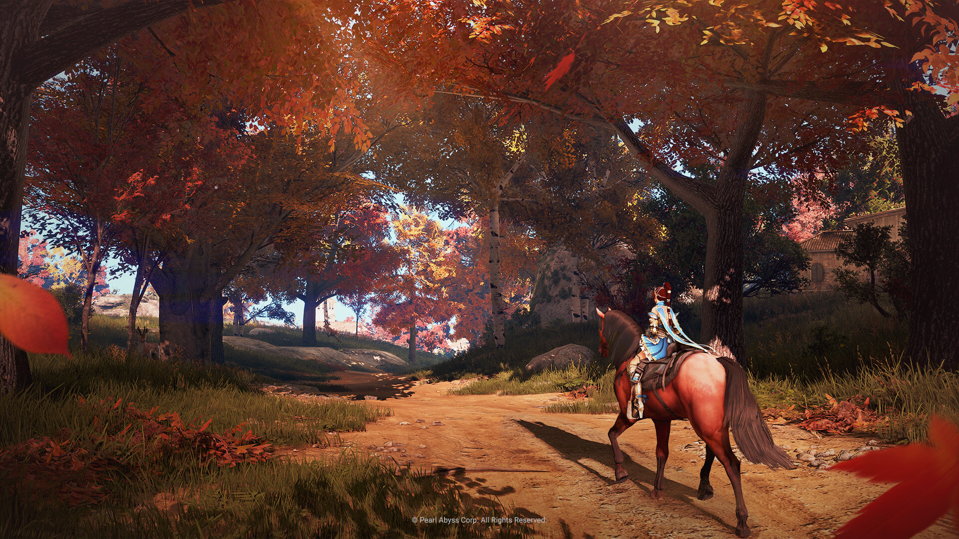 Black Desert Steam Anahtarı